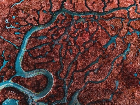 bio 1